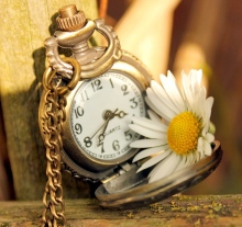 6944749-clock-time-daisy-flower